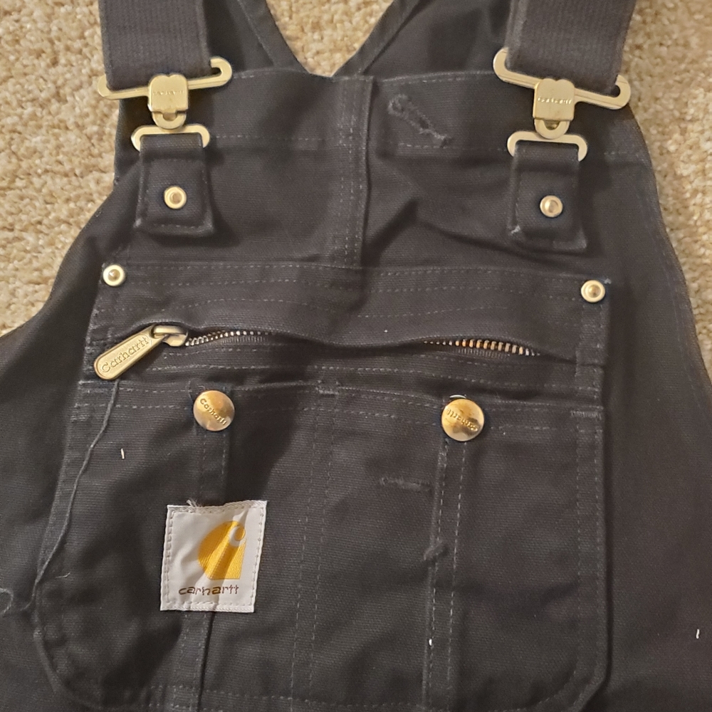 Mens Carhartt Insulated Bibs